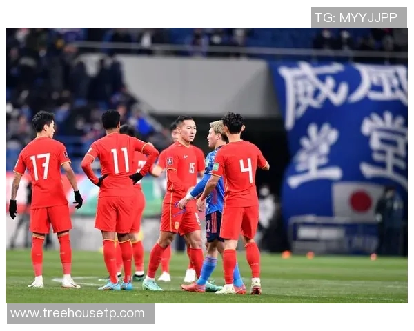 南京足球队实力强劲荣登全国足球实力排行榜第九名